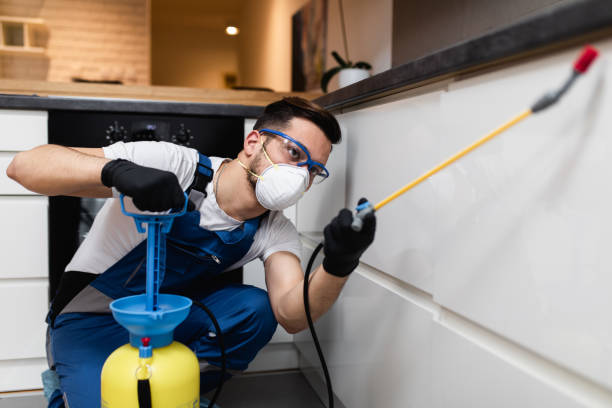 Best Termite Control Services  in Herndon, VA
