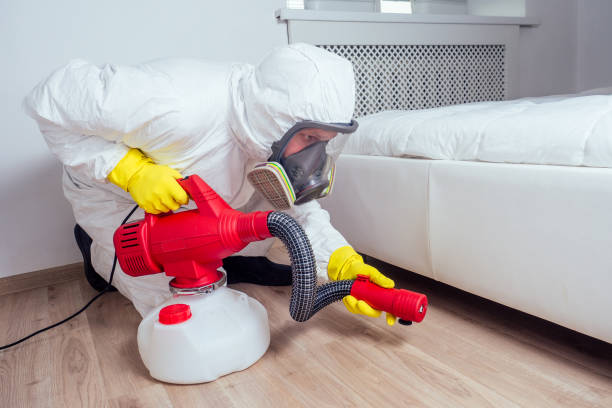 Best Rat Extermination Near Me  in Herndon, VA