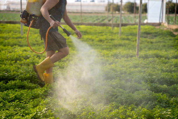 Best Pest Control for Restaurants  in Herndon, VA