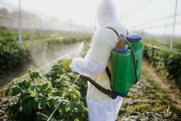 Reliable Herndon, VA Pest Control Solutions